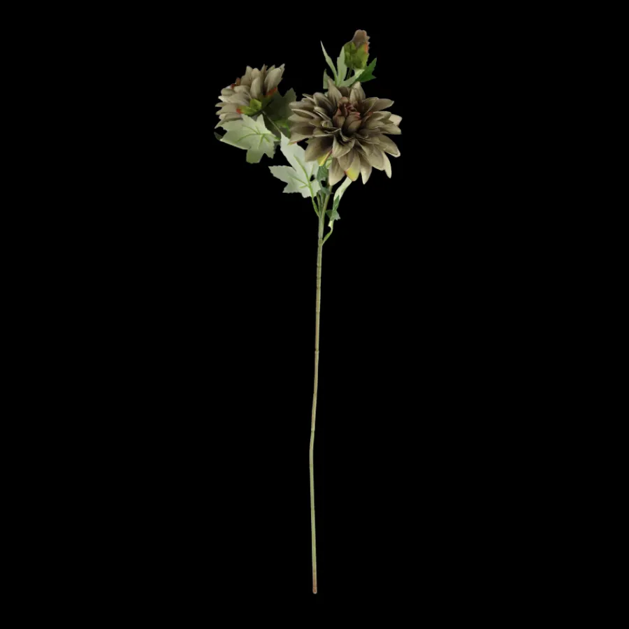 Basic u0026 More Dahlia m. 3 Blomst (H64cm) Lysegrøn> Blomster