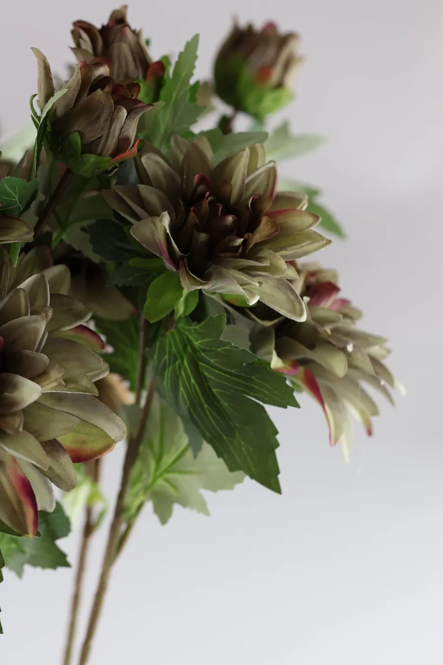 Basic u0026 More Dahlia m. 3 Blomst (H64cm) Lysegrøn> Blomster