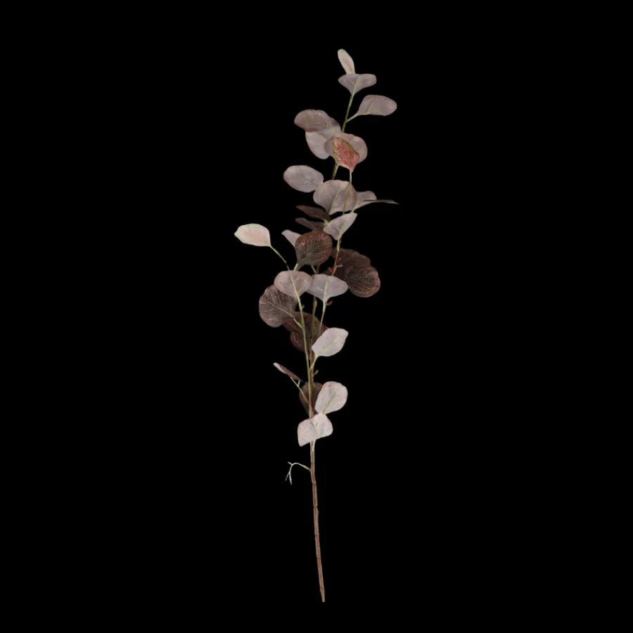 Basic u0026 More Eucalyptus Grene Kaffe farve 78cm> Blomster