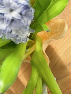 Ukendt Glasvase m/folder, cremefarvet><noscript><img width=