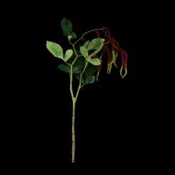 Basic u0026 More Grass (H85cm) Rød> Blomster