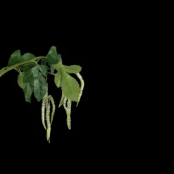 Basic u0026 More Grass (H85cm) Lysegrøn> Blomster