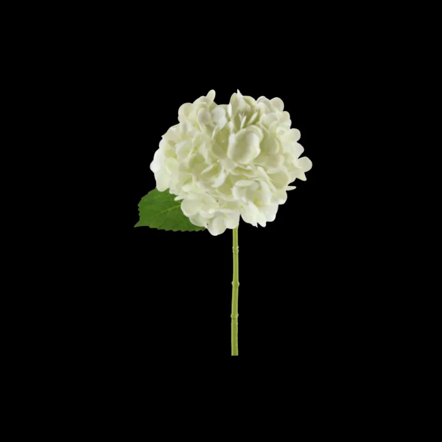 Basic u0026 More Hortensia Blomst (H32cm) Hvid> Blomster