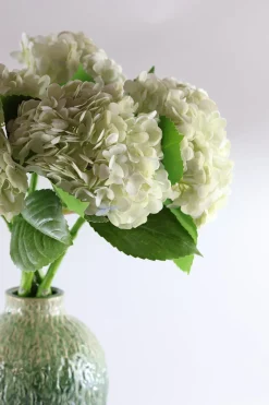 Basic u0026 More Hortensia Blomst (H55cm) Hvid><noscript><img width=