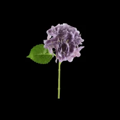 Basic u0026 More Hortensia Blomst (H32cm) Lilla> Blomster