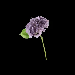 Basic u0026 More Hortensia Blomst (H32cm) Lilla> Blomster