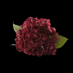 Basic u0026 More Hortensia Blomst (H55cm) Bordeaux><noscript><img width=
