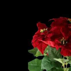 Basic u0026 More Kunstig Julestjerne i Potte Rød (40cm)><noscript><img width=