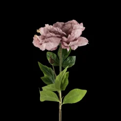 Basic u0026 More Pæon Blomst (H64cm) Lyse Lilla> Blomster