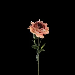 Basic u0026 More Pæon Blomst (H64cm) Lyserød> Blomster