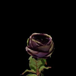 Basic u0026 More Rose i Lavendel Farve. 68cm> Blomster