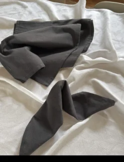 Basic u0026 More Stofserviet i Grå DENI (40x40cm)><noscript><img width=