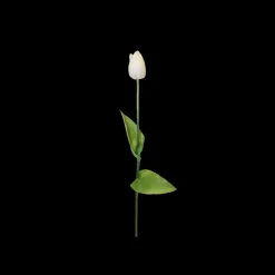 Basic u0026 More Tulipaner ( 48cm) Hvid> Blomster